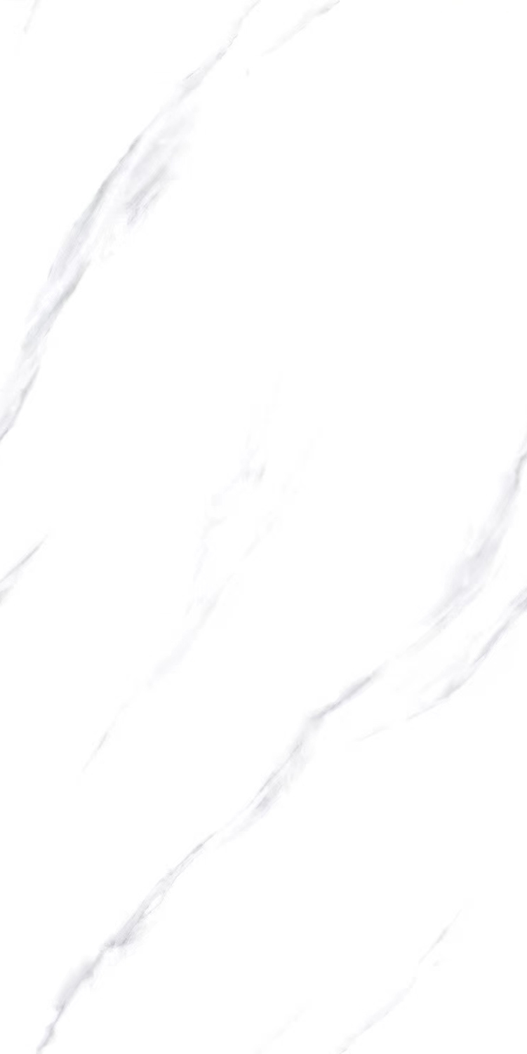 BT126913